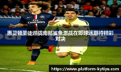 惠灵顿圣徒迎战南部鲨鱼激战在即球迷期待精彩对决